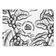 Load image into Gallery viewer, Colombia - Luis Anibal Calderon - Craft House Coffee