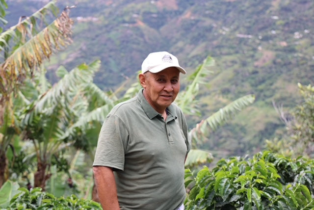 Origin Series: Colombian Coffee